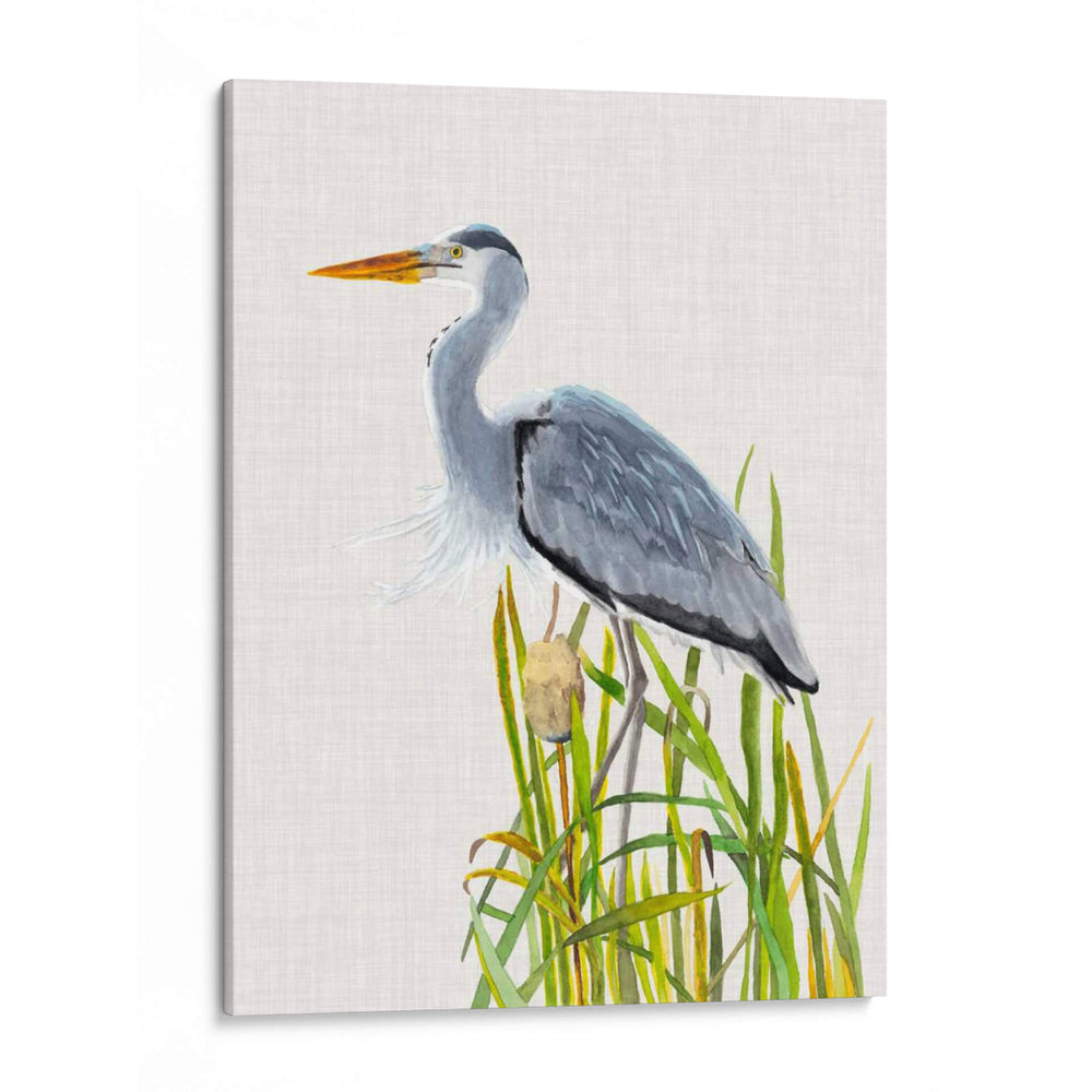 Pasas De Agua Y Cattails Ii - Naomi McCavitt | Cuadro decorativo de Canvas Lab