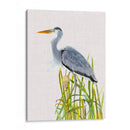 Pasas De Agua Y Cattails Ii - Naomi McCavitt | Cuadro decorativo de Canvas Lab