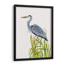 Pasas De Agua Y Cattails Ii - Naomi McCavitt | Cuadro decorativo de Canvas Lab