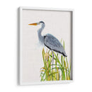 Pasas De Agua Y Cattails Ii - Naomi McCavitt | Cuadro decorativo de Canvas Lab