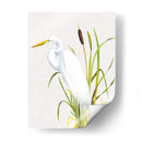 Pasas De Agua Y Cattails Iv - Naomi McCavitt | Cuadro decorativo de Canvas Lab