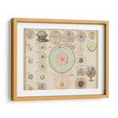 Tabla De Esquemas, Matemáticas Y Geografía. | Cuadro decorativo de Canvas Lab