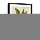 Follaje De Árbol De Hickory - John Torrey | Cuadro decorativo de Canvas Lab