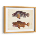 Especies De Peces Antiguos Ii | Cuadro decorativo de Canvas Lab