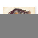 Especies De Peces Antiguos Ii | Cuadro decorativo de Canvas Lab