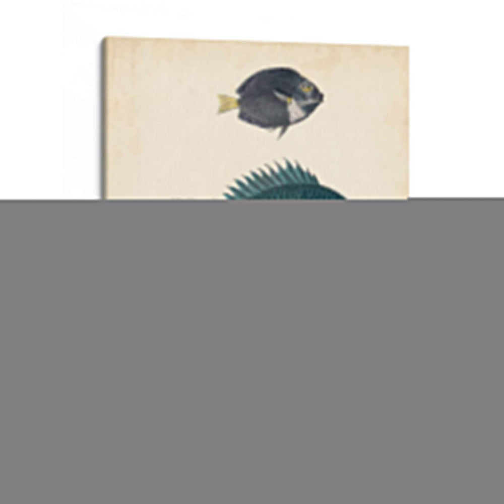 Especies De Peces Antiguos Iii | Cuadro decorativo de Canvas Lab