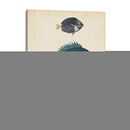 Especies De Peces Antiguos Iii | Cuadro decorativo de Canvas Lab