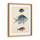 Especies De Peces Antiguos Iii | Cuadro decorativo de Canvas Lab