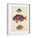 Especies De Peces Antiguos Iv | Cuadro decorativo de Canvas Lab