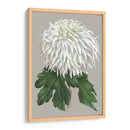 Crisantemo En Gris Ii - Vision Studio | Cuadro decorativo de Canvas Lab