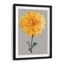 Crisantemo En Gris Iv - Vision Studio | Cuadro decorativo de Canvas Lab