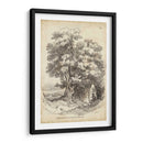 Árbol Noble Ii - J.D. Harding | Cuadro decorativo de Canvas Lab