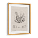 Carbón Y Algas Marinas I - Henry Bradbury | Cuadro decorativo de Canvas Lab