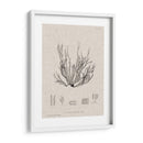 Carbón Y Algas Marinas I - Henry Bradbury | Cuadro decorativo de Canvas Lab