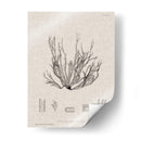 Carbón Y Algas Marinas I - Henry Bradbury | Cuadro decorativo de Canvas Lab