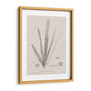 Carbón Y Lino Seaweed Ii - Henry Bradbury | Cuadro decorativo de Canvas Lab