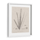 Carbón Y Lino Seaweed Ii - Henry Bradbury | Cuadro decorativo de Canvas Lab