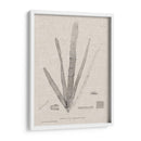 Carbón Y Lino Seaweed Ii - Henry Bradbury | Cuadro decorativo de Canvas Lab