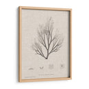 Carbón Y Ropa De Algas Marinas Iii - Henry Bradbury | Cuadro decorativo de Canvas Lab