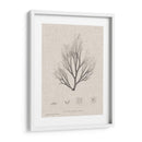 Carbón Y Ropa De Algas Marinas Iii - Henry Bradbury | Cuadro decorativo de Canvas Lab