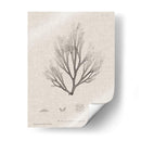 Carbón Y Ropa De Algas Marinas Iii - Henry Bradbury | Cuadro decorativo de Canvas Lab