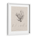 Carbón Y Ropa De Algas Marinas Vi - Henry Bradbury | Cuadro decorativo de Canvas Lab