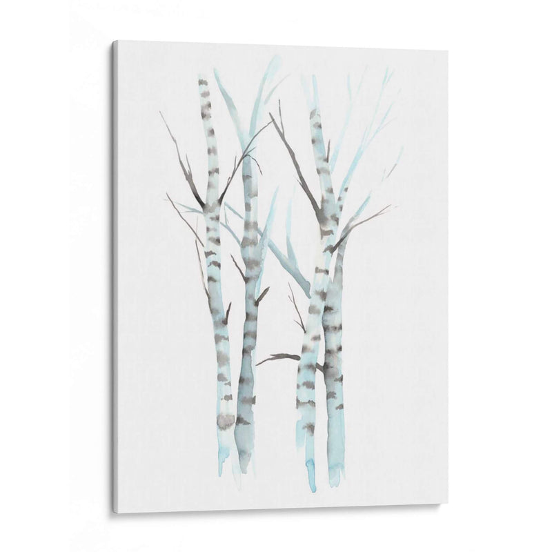 Aquarelle Birches I - Grace Popp | Cuadro decorativo de Canvas Lab