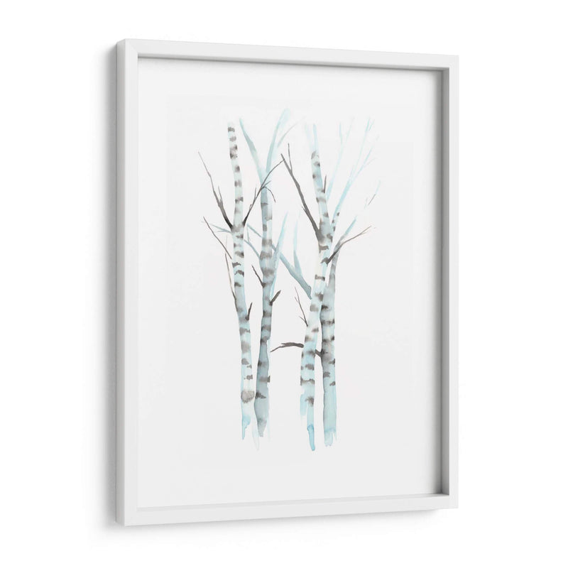 Aquarelle Birches I - Grace Popp | Cuadro decorativo de Canvas Lab