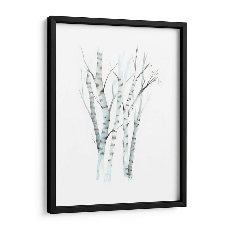 Aquarelle Birches Ii - Grace Popp | Cuadro decorativo de Canvas Lab