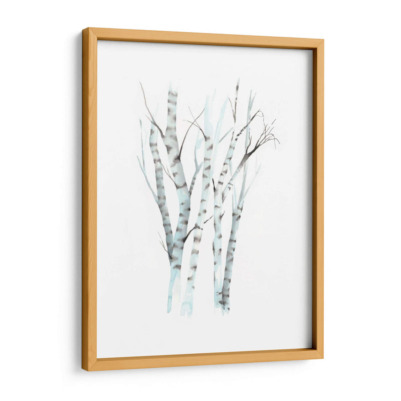 Aquarelle Birches Ii - Grace Popp | Cuadro decorativo de Canvas Lab