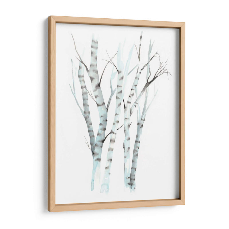 Aquarelle Birches Ii - Grace Popp | Cuadro decorativo de Canvas Lab