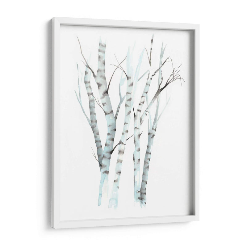 Aquarelle Birches Ii - Grace Popp | Cuadro decorativo de Canvas Lab