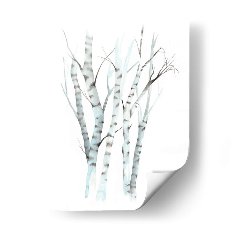 Aquarelle Birches Ii - Grace Popp | Cuadro decorativo de Canvas Lab