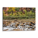 Fondo Rocoso - Danny Head | Cuadro decorativo de Canvas Lab