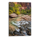 Río Virgin I - Danny Head | Cuadro decorativo de Canvas Lab