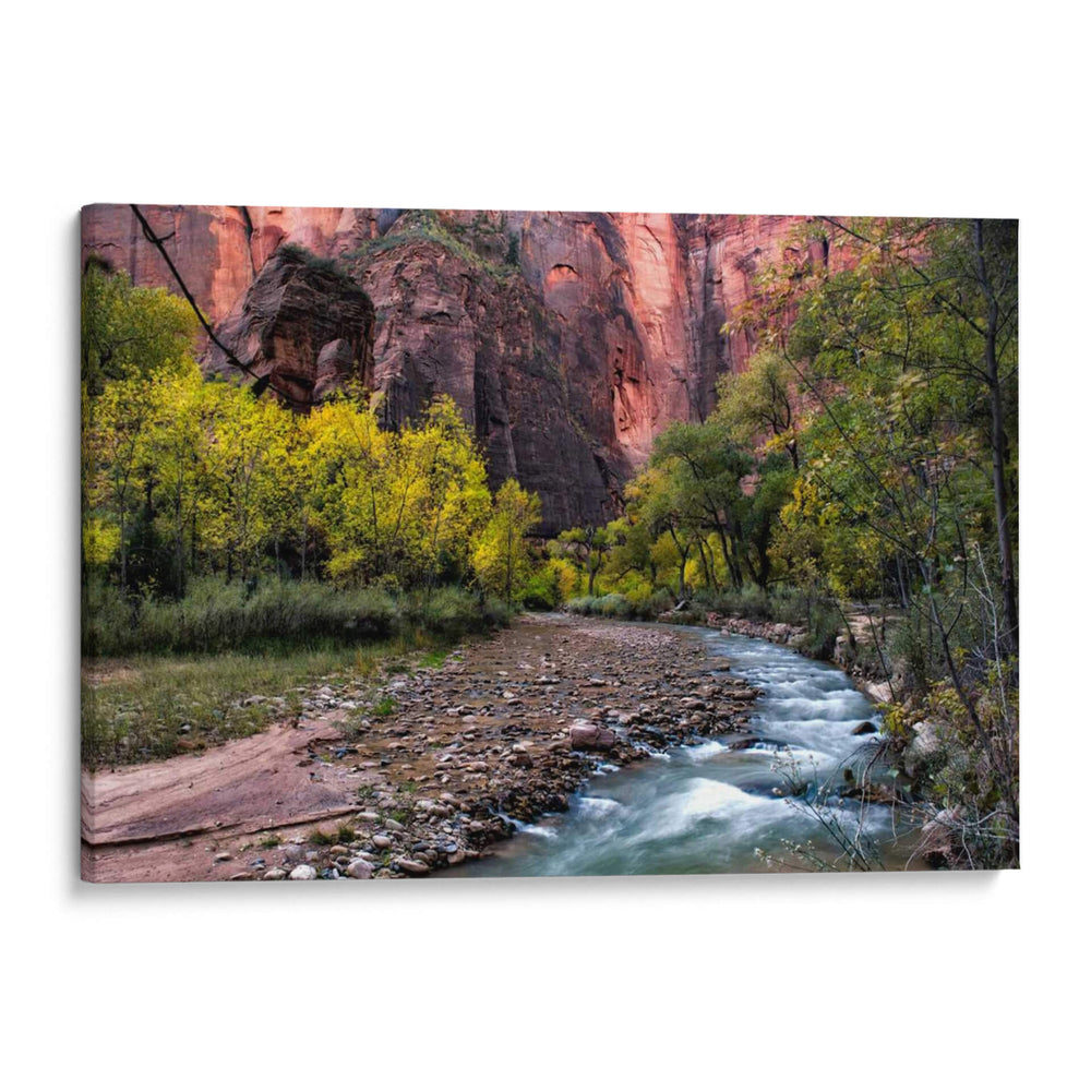 Mirando Hacia Arriba - Danny Head | Cuadro decorativo de Canvas Lab