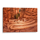 Los Switchbacks - Danny Head | Cuadro decorativo de Canvas Lab