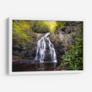 Caídas Planas De Abeto - Danny Head | Cuadro decorativo de Canvas Lab