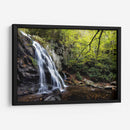 Cataratas Planas De Abeto En La Mañana - Danny Head | Cuadro decorativo de Canvas Lab