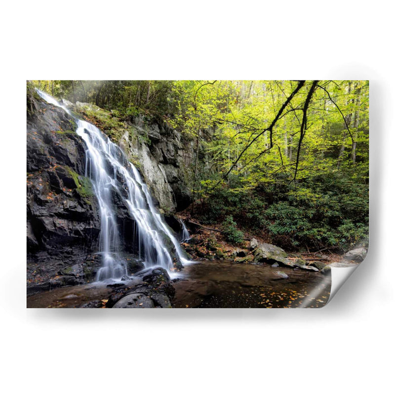 Cataratas Planas De Abeto En La Mañana - Danny Head | Cuadro decorativo de Canvas Lab