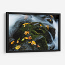 Hojas Mojadas - Danny Head | Cuadro decorativo de Canvas Lab