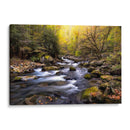 Anochecer En Tremont I - Danny Head | Cuadro decorativo de Canvas Lab