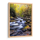 Andenada En Tremont Ii - Danny Head | Cuadro decorativo de Canvas Lab