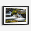 Cerca De La Naturaleza - Danny Head | Cuadro decorativo de Canvas Lab