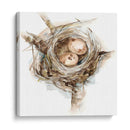 Estudio De Nido De Aves I - Ethan Harper | Cuadro decorativo de Canvas Lab