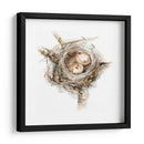 Estudio De Nido De Aves I - Ethan Harper | Cuadro decorativo de Canvas Lab