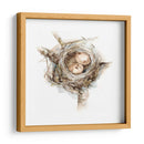 Estudio De Nido De Aves I - Ethan Harper | Cuadro decorativo de Canvas Lab