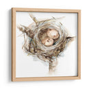Estudio De Nido De Aves I - Ethan Harper | Cuadro decorativo de Canvas Lab