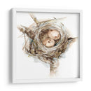 Estudio De Nido De Aves I - Ethan Harper | Cuadro decorativo de Canvas Lab
