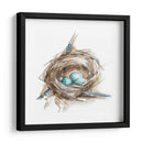 Estudio De Nido De Aves Ii - Ethan Harper | Cuadro decorativo de Canvas Lab